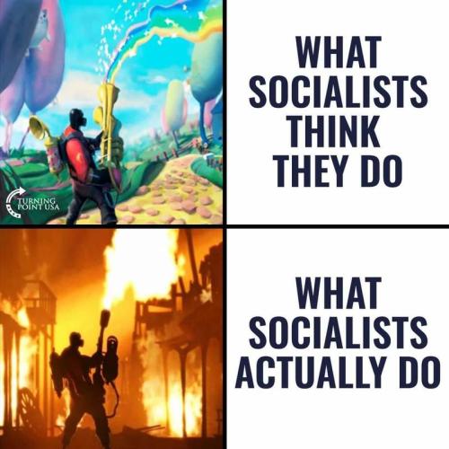what socialists do