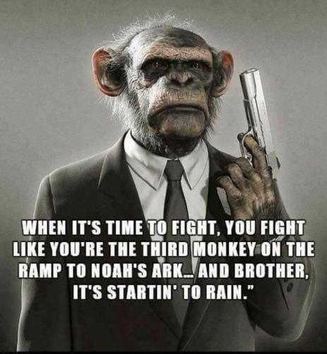 94783527_3141548162531616_6522284666521649152_n