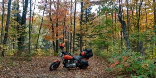 IMG_20211001_170342198_HDR