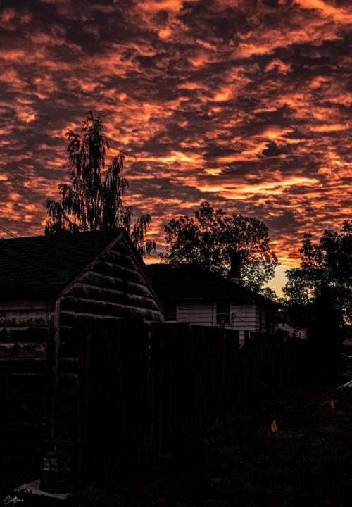 2D41B7C5-27E8-4286-AC0D-7255D9FFDCFB