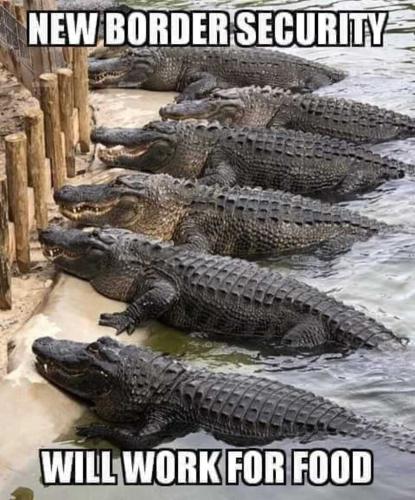 new border security