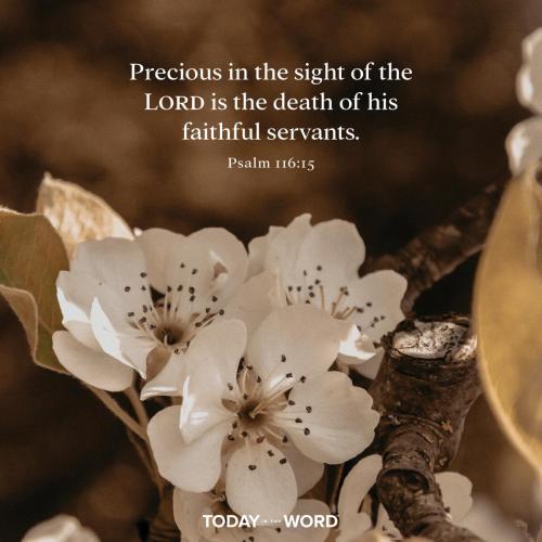 58A4D2D3-F045-4E7C-954D-301838DF5D79