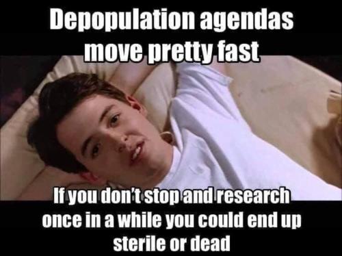 photo_2021-05-15_15-36-49