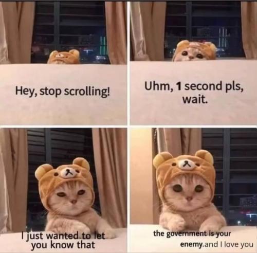 photo_2021-10-08_16-15-52