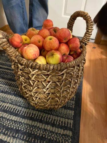 FB_IMG_1633899743137