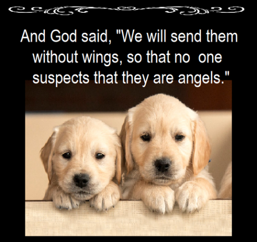 244989825_4840302509336536_2989111178533148369_n (2)