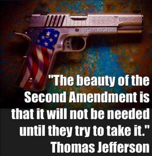 The beauty of the second amendment
