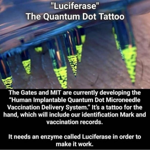 EDD2C134-F519-4D2D-B989-7CF27229E47D