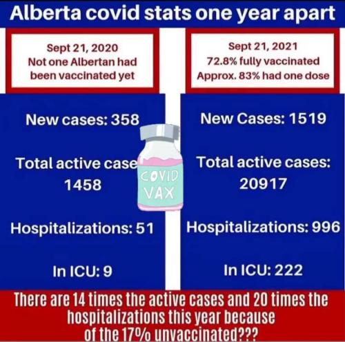 photo_2021-10-03_01-07-22