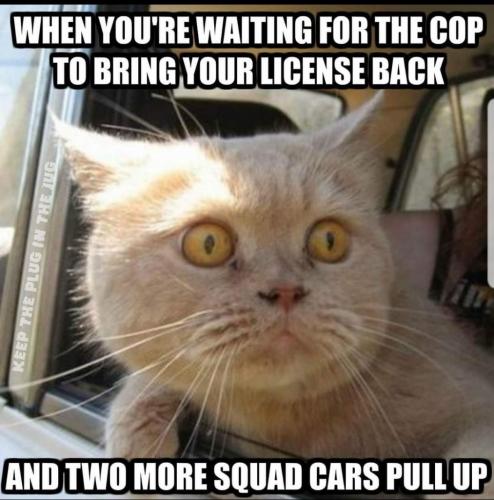 When you're waiting for the cop