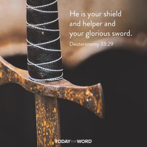 812B979B-6E66-411F-9AFC-6E900F400674