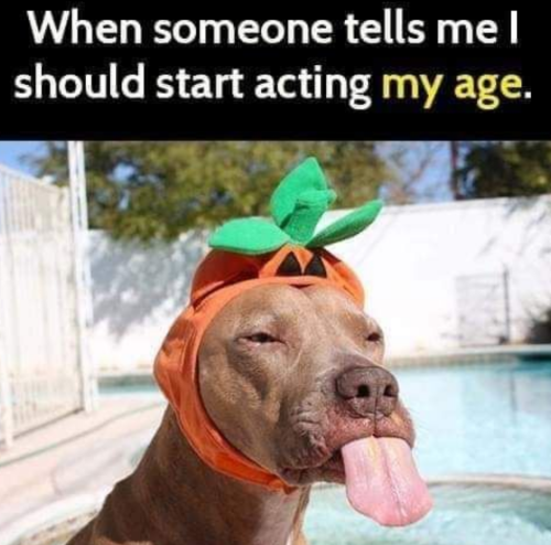 Screenshot_20211013-235138