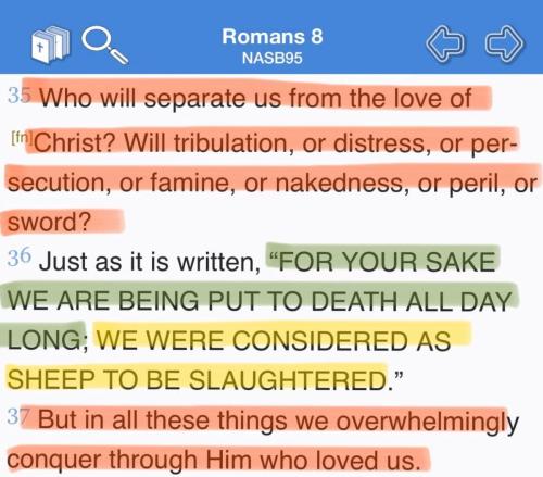 Romans8