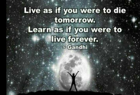 B0F15D7F-C115-47DA-8A58-9E81177F6F67