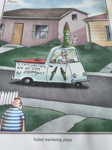 Failed Marketing Schemes