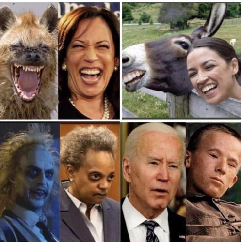 26500CAE-29C5-481B-87DA-5171C4936F92