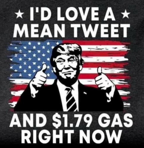 image_1634459966.877