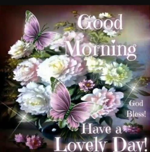 Screenshot_20211015-085120_Gallery