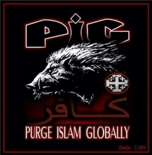 PIG (2)