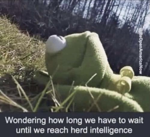 55B62DF8-F450-4CAF-A8FC-DC64181A3565