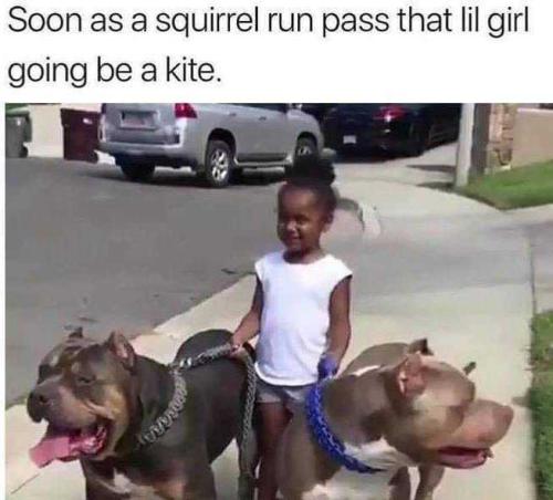 86e56adb866257789a860cac1669a9e5