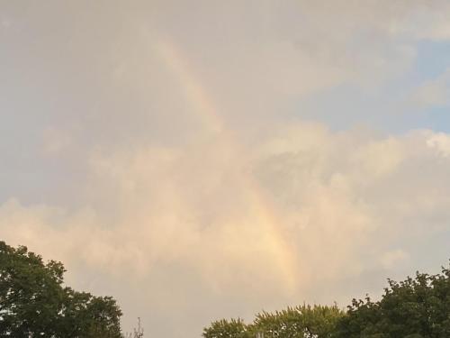 46E37CD1-C511-450C-9DC4-482F3E0E345C