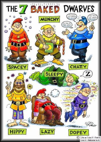 7 BAKED DWARFS