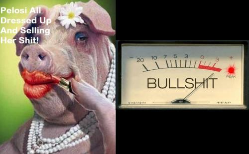 Pelosi Dressed Up Lipstick On A Pig BS Meter