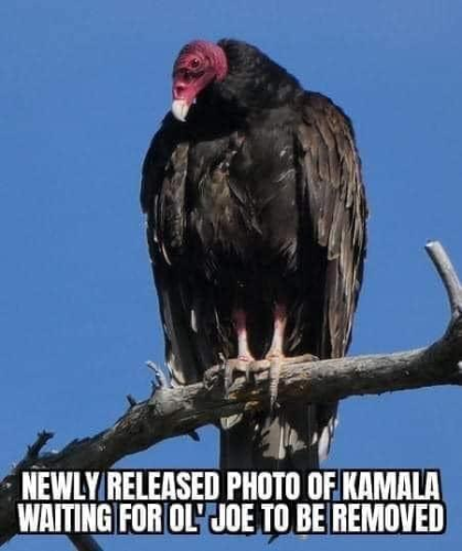 rare photo