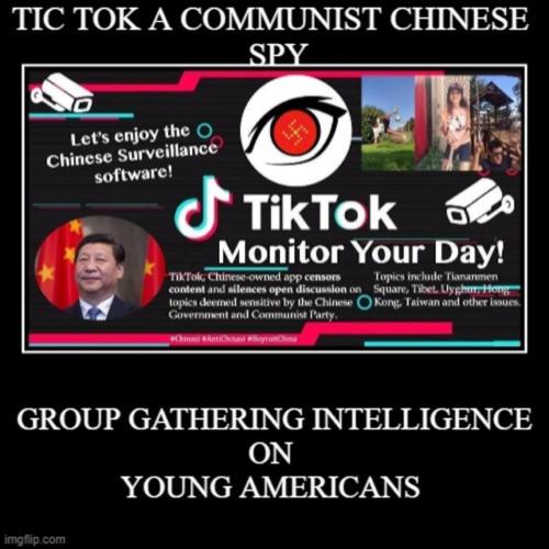 TICTOKEXPOSEDDOJEXPOSEDASALUTETOCONSERVATIVEBLOGGERSANDPODCASTERS