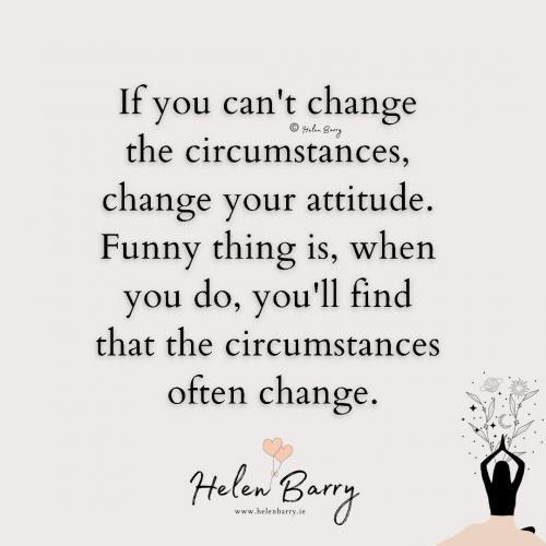 243495933_3094555197482141_2550167612097263474_n