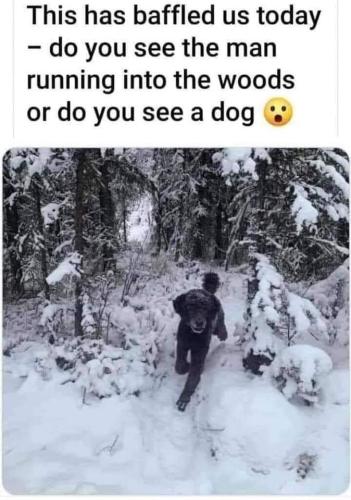 FB_IMG_1634676133812