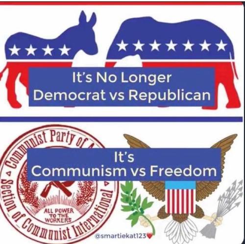 image_1635359880.162