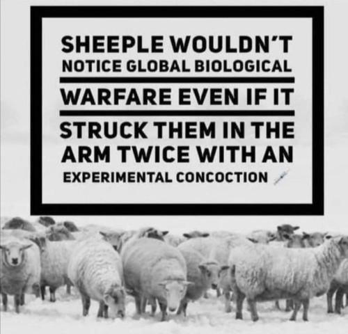 sheeple wouldn't understand