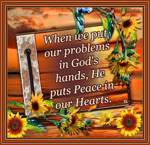 14079751_1183918268346122_6359589403176926250_n