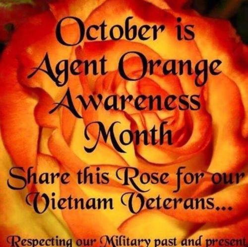 Agent Orange 05