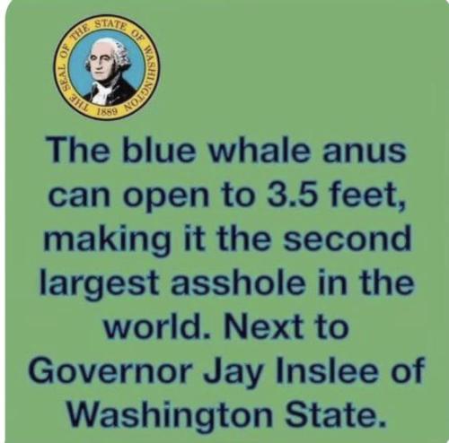 jay inslee asshole