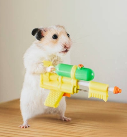 Screenshot_20210929-010201_Chrome