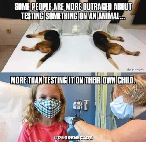 2151A5E4-6CE3-413A-B862-4E94021F5B3C