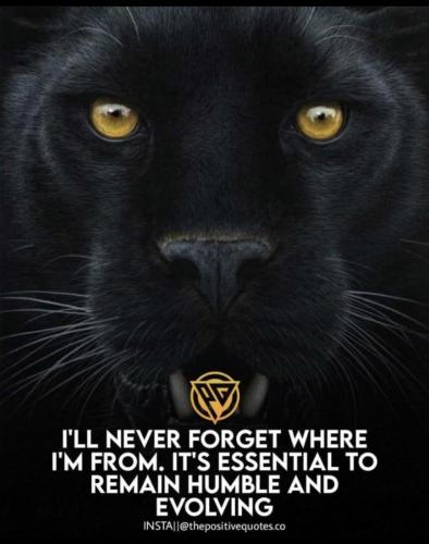 7778912E-E1E1-4818-95D5-8C7C9A8AF8B1