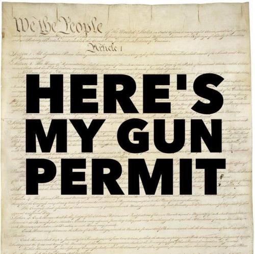 Here gun permit