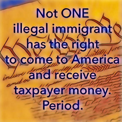 illegal immigrants