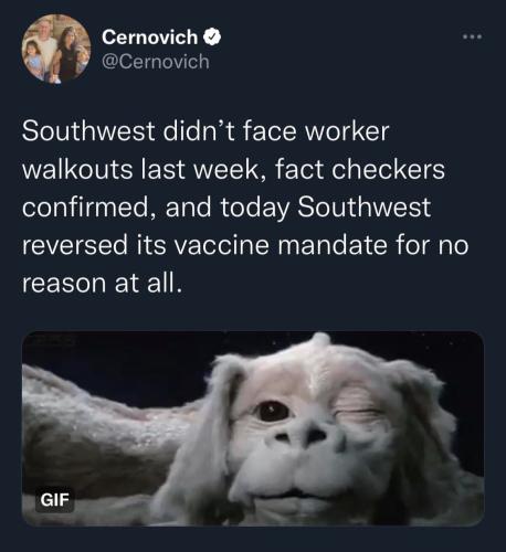 photo_2021-10-20_17-32-49