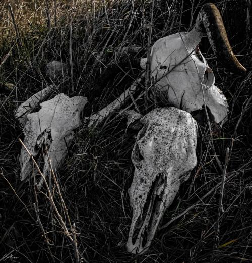 84C92368-9519-496A-9F06-BA265C5A43BA