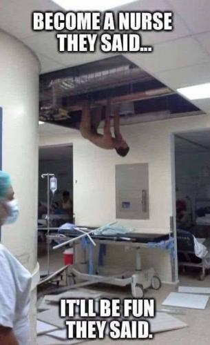 xephula_8bda0a228885a0e143dde39c9473232c