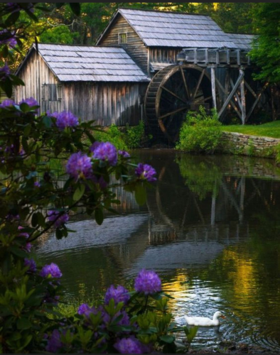 Screenshot_20211014-213718