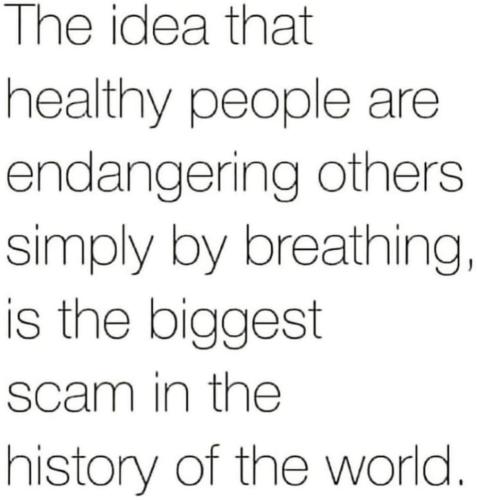 image_1635681042.245