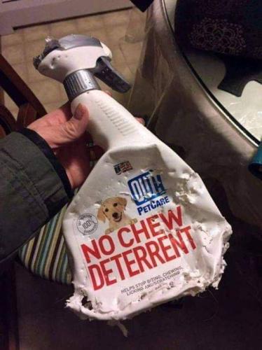 FB_IMG_1634675355463