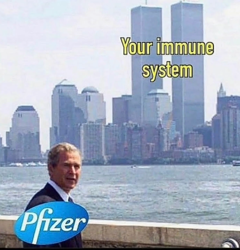 Screenshot_20211012-040810~2