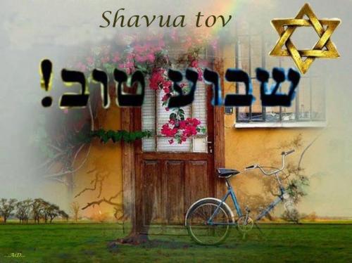 shavua tov vB7